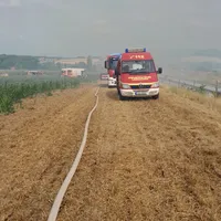 WhatsApp Image 2023-07-23 at 16.43.59 (2).jpeg